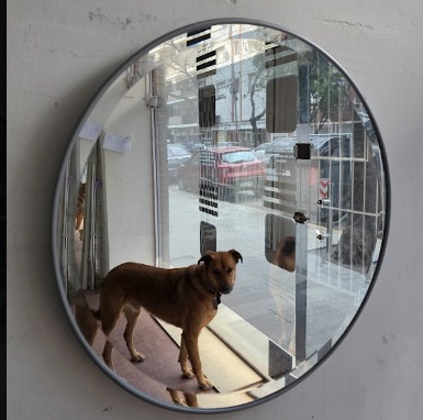 STOCK - 50cm #226 - Imagen 3